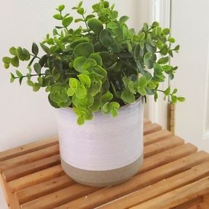 Faux Plant
